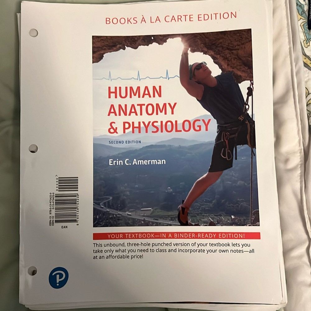 Loose leaf Human Anatomy and Physiology